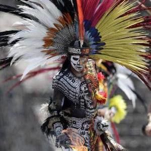 Meet your Posher, Hector